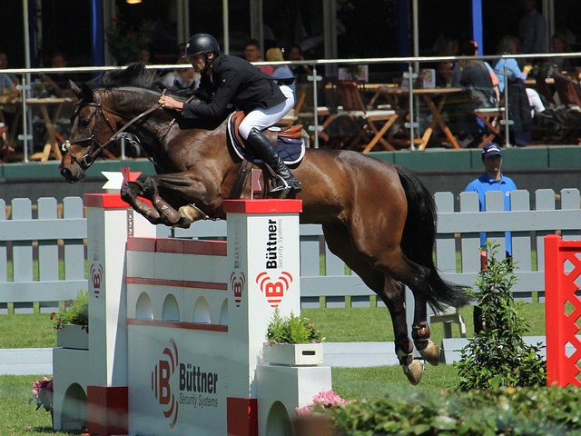 抗强度的挑 抗强度的挑