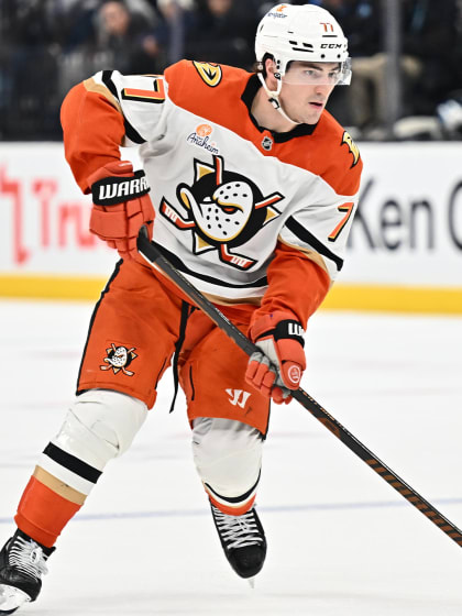 的特殊条款 的特殊条款