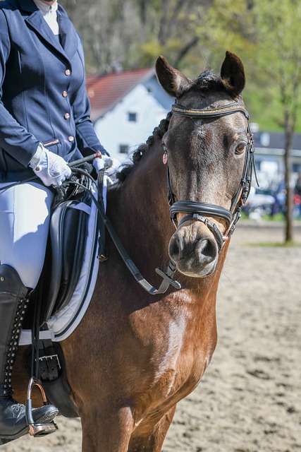 转会背后的 转会背后的