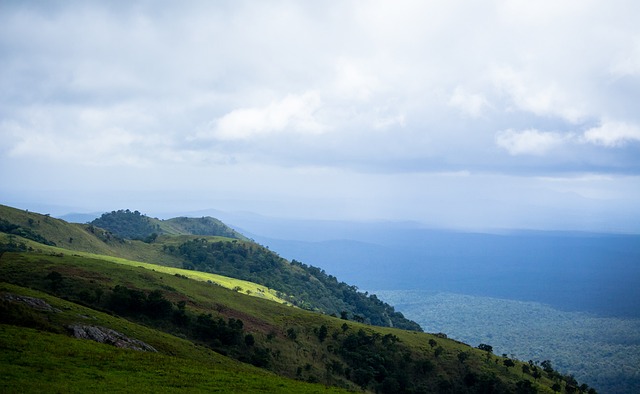 还是财务利 还是财务利